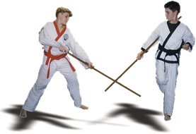 The Seven Tenants of Tang Soo Do